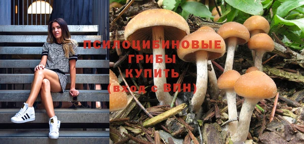 прущая мука Абаза