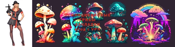 прущая мука Абаза