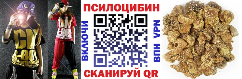 Галлюциногенные грибы Psilocybine cubensis  где найти   Терек 